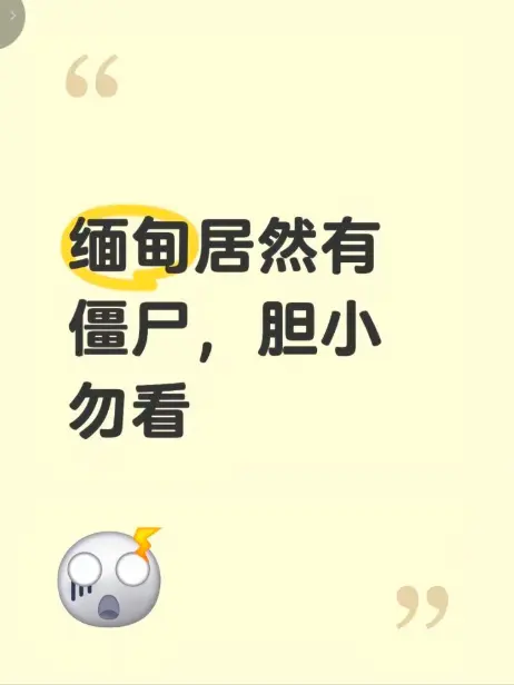 《缅甸僵尸出土事件》高清无删减免费播放 - 现场全程录像揭秘缅北真相 - 缅甸僵尸出土事件最新完整版在线观看