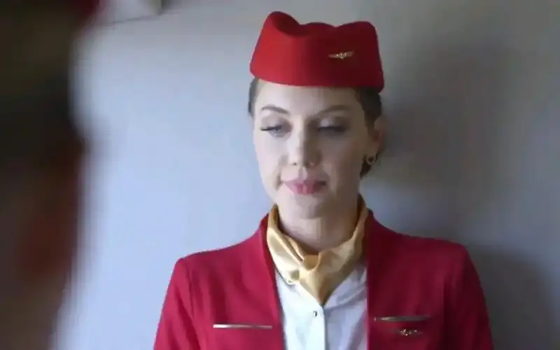 法国《私人航空/法国空乘》电影全集-《私人航空/法国空乘》高清修复未删减版-在线观看无广告