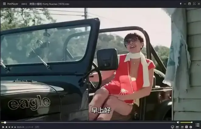 电影《美丽小蜜桃》1080P高清完整版-1978年美国复古喜剧未删减在线看-《美丽小蜜桃》中字免费播放